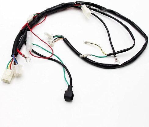 Pro Bat Full Wiring Harness Loom Solenoid Coil منظم 50cc 70cc 90cc 110cc 125cc Dirt Pit Pik in Kuwait