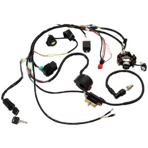 Complete Electric Wiring Harness for Chinese ATV UTV Go Kart Taotao 50cc 70cc 90cc 110cc 125cc