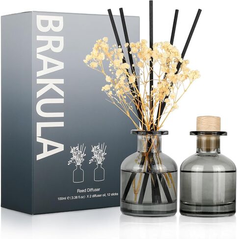 Brakula 2 Pack Reed Diffuser ، Bamboo + Eucalyptus & Wild Mint (3.38 Fl Oz كل حزمة) ، عطر منزلي مع 12 عصي ، ديكور الرف ، ناشرات القصب للمنزل in Kuwait