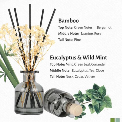 Brakula 2 Pack Reed Diffuser ، Bamboo + Eucalyptus & Wild Mint (3.38 Fl Oz كل حزمة) ، عطر منزلي مع 12 عصي ، ديكور الرف ، ناشرات القصب للمنزل in Kuwait