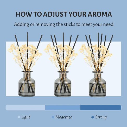 Brakula 2 Pack Reed Diffuser ، Bamboo + Eucalyptus & Wild Mint (3.38 Fl Oz كل حزمة) ، عطر منزلي مع 12 عصي ، ديكور الرف ، ناشرات القصب للمنزل in Kuwait