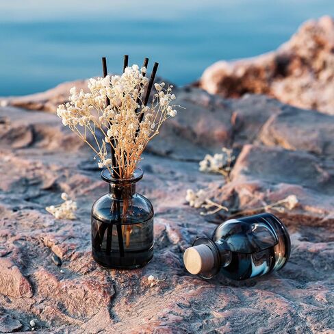 Brakula 2 Pack Reed Diffuser ، Bamboo + Eucalyptus & Wild Mint (3.38 Fl Oz كل حزمة) ، عطر منزلي مع 12 عصي ، ديكور الرف ، ناشرات القصب للمنزل in Kuwait