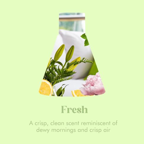 Reed Diffuser Set for Home, Citrus Scented Diffuser with 6 Diffuser Sticks, Home Fragrance Scent Essential Oil Stick Diffuser for Christmas Shelf Decor,3.4 oz in Saudi Arabia