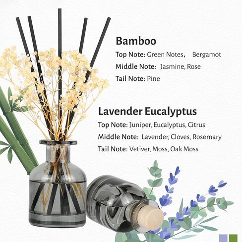 Brakula 2 Pack Reed Diffuser ، Bamboo + Eucalyptus & Wild Mint (3.38 Fl Oz كل حزمة) ، عطر منزلي مع 12 عصي ، ديكور الرف ، ناشرات القصب للمنزل in Kuwait