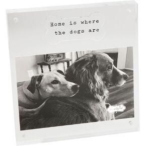 Mud Pie 4X6 Acrylic Dog Bone Frame; 6 1/2" X 7"