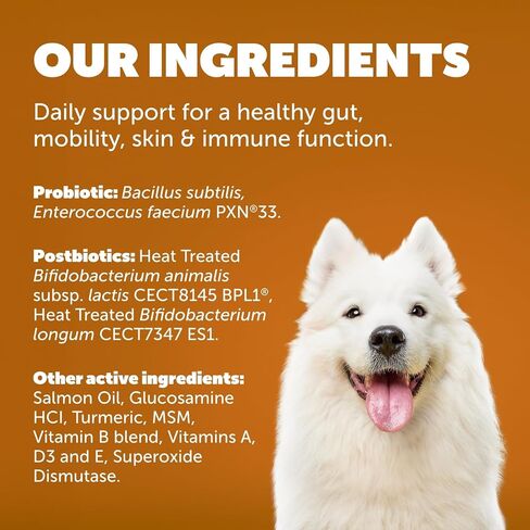 Protexin Daily Care Gut+ Digestive، 60 قطعة مضغ مكملة للبروبيوتيك وما بعد الحيوية للكلاب - بنكهة الدجاج والخروب in Saudi Arabia