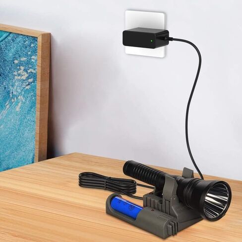 Car Charger for Streamlight Stinger Flashlight,Streamlight Strion LED HL, Stinger HP, Stinger HPL, Survivos Rechargeable Battery Charger Base Cord in Kuwait