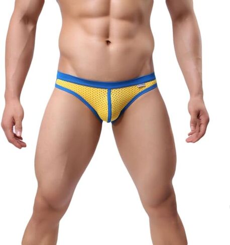 TAPUU Mens Mesh Ice Silk Low Rise Bikini Briefs Underwear in Saudi Arabia