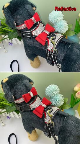 نيوتنسينا 3 قطع ربطات عنق بلينغ لطيف للكلاب وطوق للكلاب مع مقود للكلاب - وردي - M in Kuwait