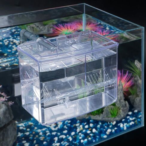 Pawfly Aquarium Fish Breeding Box, Fish Tank Hatchery Incubator with 6 Suction Cups Acrylic Hatching Box for Baby Fish Shrimp Betta Medium Acclimation Isolation Box in Saudi Arabia