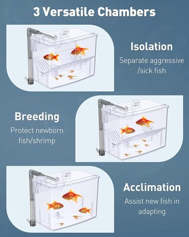 Pawfly Aquarium Fish Breeding Box, Fish Tank Hatchery Incubator with 6 Suction Cups Acrylic Hatching Box for Baby Fish Shrimp Betta Medium Acclimation Isolation Box in Saudi Arabia
