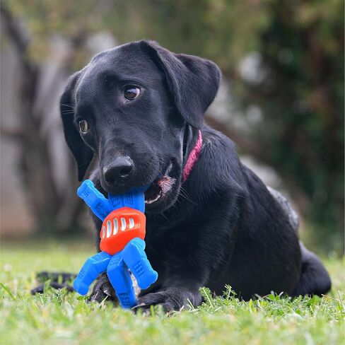 5 Pack Plush Small Dog Toys For Aggressive Chewers Small Breeds, Indestructible Puppy Toys, Tough Stuffed Animals Puppy Chew Toys, Durable Tug Of War Dog Toy, Squeaky Dog Toys For Aggressive Chewer in Saudi Arabia