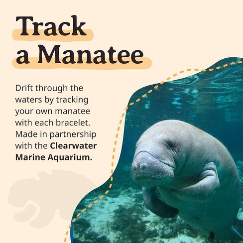Fahlo Drift Bracelet Manatee Tracking Bracelet, Elastic, Supports Clearwater Marine Aquarium, one Size fits Most for Men and Women in Saudi Arabia