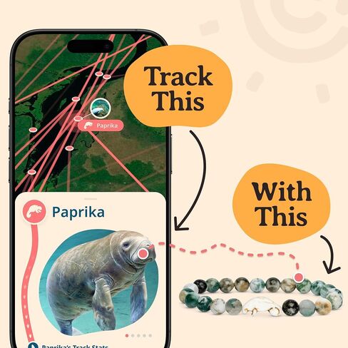 Fahlo Drift Bracelet Manatee Tracking Bracelet, Elastic, Supports Clearwater Marine Aquarium, one Size fits Most for Men and Women in Saudi Arabia