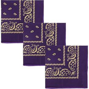 Motique Accessories Paisley Bandana with Gold Set of 3 - Purple