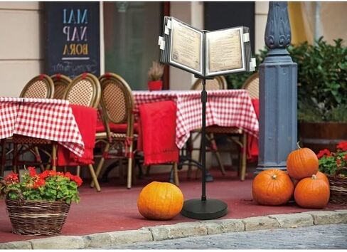 Aidata FDS032WL منظم معلومات حامل الأرضية للعرض والضبط، أسود، حامل معلومات للمستندات بحجم الحروف، 10 لوحات مستندات مع 10 علامات تبويب للمؤشر تعرض 20 صفحة، تعديل زاوية العرض in Kuwait