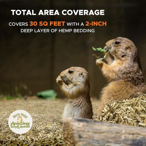 [25 لتر] فراش قنب للدجاج - مصنوع من قنب طبيعي 100% - امتصاص فائق وتحكم في الرائحة - فراش قنب صديق للبيئة للدجاج - فراش قنب سهل الصيانة للحيوانات الصغيرة in Kuwait