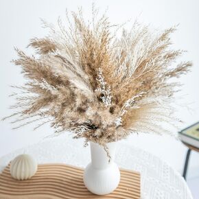 Pampas Grass Decor,Dried Pompas Grass Mix Bouquet | Dried Flowers Bouquet for Wedding Boho Flowers Home Table Decor Desk Decor, Rustic Farmhouse Decor Boho Flowers Home Table Decor (Brown)