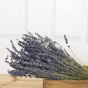 Dried French Lavender Bundle