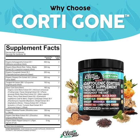 كورتي ذهب كورتيزول مكملات للنساء | Maca Root Ashwagandha Cortisol Detox Manager مخفض + زلق Elm Fenugreek Lions Mane Shilajit Rhodiola Sea Moss Tongkat Ali Cordyceps Ginseng Beet Root in Kuwait