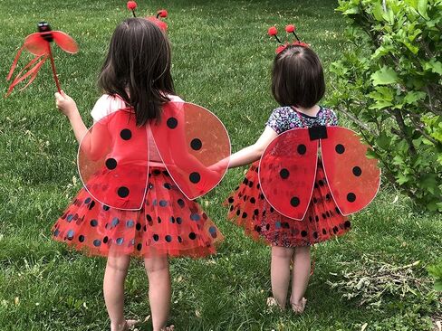 4 PC Girls Fairy Wings Butterfly Costume Set with Wings, Tutu, Wand & Halo in Saudi Arabia