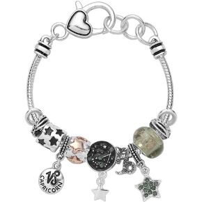 Falari Zodiac Charm Bracelet Multi-Color Slide Metal Murano Beads Silvertone