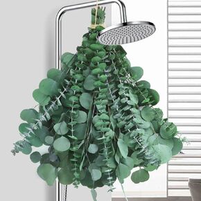 14 Stems Dried Eucalyptus for Shower Hanging, 17'' Preserved Real Fresh Eucalyptus Leaves, Shower Plant, Home Decor and DIY Crafts