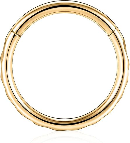 FUNLMO 316L Surgical Steel Hinged Nose Ring Septum Ring Tragus Helix Rook Conch Daith Cartilage Piercing Jewelry in Saudi Arabia