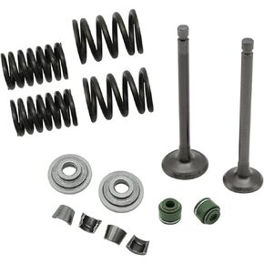 Intake Exhaust Engine Valves Seals Springs Kit for Honda XR75 XR80 XR100 XL75 XL80 XL100 CRF80 CRF100, OEM# 14711-152-000 14721-176-000