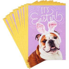 Hallmark Pack of Easter Cards, Hoppy Easter (10 Cards with Envelopes)