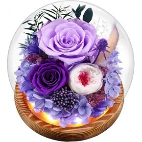 Preserved Real Flowers Gifts for Mom,Her,Women,Wife,Forever Fresh Roses in Glass Dome with LED Lights for Home Decor for Delivery Prime Valentines,Mothers Day,Christmas,Wedding,Purple