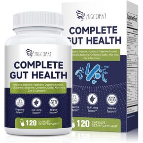 Probiotic Prebiotic, Postbiotic & Digestive Enzymes for Digestive Health, 80 Billion CFU Probiotics Complete Gut Support with Berberine, Cinnamon, L-Glutamine, for Men & Women, 120 Capsules
