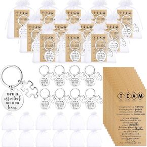 Employee Appreciation Gifts Bulk for Coworker Thank You Gifts Keychain Emotional Support Positive Keychain for Team Staff