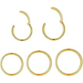 5pcs Hypoallergenic Nose Rings Hoops for Women Men 16G/18G/20G 316L Surgical Steel Hinged Clicker Segment for Nostril Septum Helix Cartilage Daith Tragus Conch Rook Lip Ear Lobe Earrings