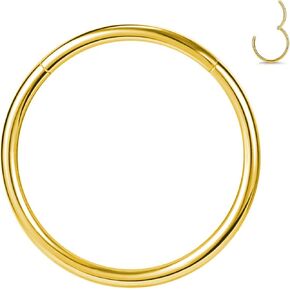 1pcs Women Men Titanium Hinged Nose Rings Hoop 20G 18G 16G Clicker Hoop for Nostril Septum Cartilage Helix Daith Tragus Rook Conch Lip Ear Lobe Piercings 6mm/7mm/8mm/9mm/10mm/12mm Silver-Gold-Rose Gold-Black
