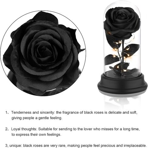 Forever Preserved Black Rose Birthday Gifts for Women,Eternal Flower Gifts for Mom,Wife,Grandma,Light Up Rose Flowers in A Dome,Black Flower Rose Presents for Birthday,Anniversary,Valentines in Saudi Arabia