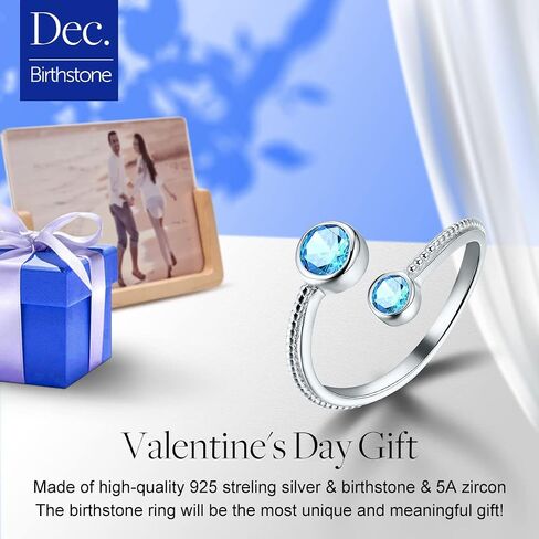 S925 Sterling Silver Birthstone Adjustable Ring January Birthstone Birth Month Open Ring Birthday Gifts for Women in Saudi Arabia
