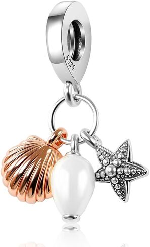 S925 Sterling Silver Beads Charms DIY Charming Beads in Kuwait