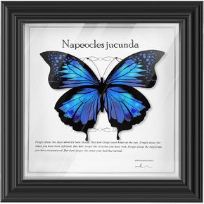 6 × 6 إطار مربع الظل الصغير مع عرض Glass Shadowbox إطار صورة خشبية للجدار والطاولة