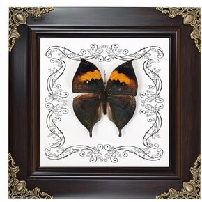 Gothic Butterfly Shadow Box - Real Framed Taxidermy Display for Dark Aesthetic Home Decor, Handmade Insect Art Collection(01#Green Swallowtail Butterfly)