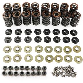 SK001S 660 "Dual Valve Spring Platinum Kit With Retainers Fit for LS1 LS2 LS3 LS4 LS6 L76 L92 L99 LQ4 LQ9 L33 LSA 4.8L 5.3L 6.0L 6.2L ، SK001
