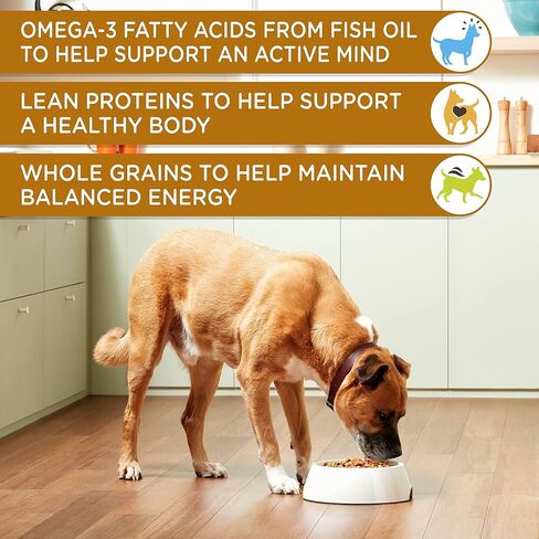 Nutrish Rachael Ray Chunks in Gravy Gentle Digestion Wet Dog Food, Real Lamb, Pumpkin & Chicken Recipe, 13 oz. Cans (Pack of 12) in Saudi Arabia