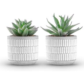 Der Rose Set of 2 Succulents Plants Artificial Fake Plants for Living Room Bathroom Bedroom Aesthetic Home Shelf Decor