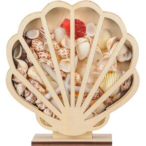 Seashell Shaped Wooden Shadow Box with Acrylic Window, Shadow Boxes Display Cases for Agates, Shark Teeth Starfish Trinket Coastal Decor, Treasure Chest, Room and Bedroom Decor
