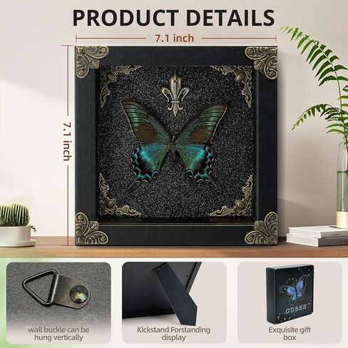 Real Butterfly Framed Handmade - Taxidermy Butterfly Shadow Box - Real Framed Butterflies in a Box for Gothic Home Decor Aesthetic. (Green-Banded Queen Butterfly) in Saudi Arabia