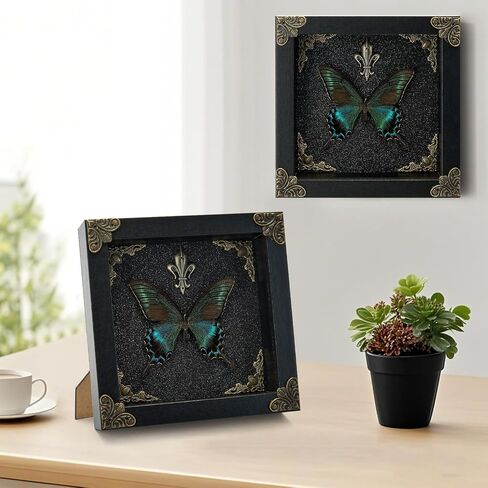 Real Butterfly Framed Handmade - Taxidermy Butterfly Shadow Box - Real Framed Butterflies in a Box for Gothic Home Decor Aesthetic. (Green-Banded Queen Butterfly) in Saudi Arabia