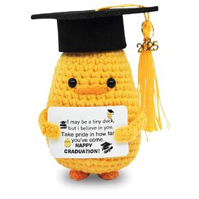 Graduation Gifts Class of 2025 - Inspirational Funny Chick with Cap and Greeting Card – Handmade Emotional Cheer Support for Her Girls Him Boys High School College Gifts (Chick)
