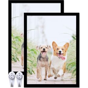 8x11 Picture Frame Set of 2, Black Photo Frames High Transparent Wall Gallery Desktop Horizontal Vertical for Canvas Collage Photo Poster Certificate 8 x 11 inches