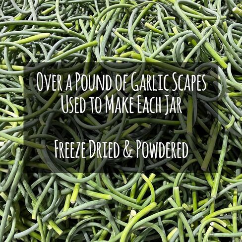 Poods Garlic Scape Powder - Monash Certified Low Fodmap ، حشو خالٍ من الغلوتين ، خالي من الغلوتين ، طبيعية 100 ٪ ، لا يوجد نشا ذرة ، مالتوديكسترين ، "النكهات" أو غيرها من الحشو in Saudi Arabia