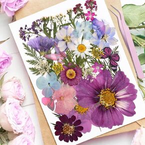 Yuboo 98Pcs White Dried Pressed Flowers for Crafts, Gifts for Mothers Day, Pressed Florals Leaves with Tweezer, Natural Dried Flowers for Resin Molds DIY Art Scrapbooking Candle Nails Phone Case